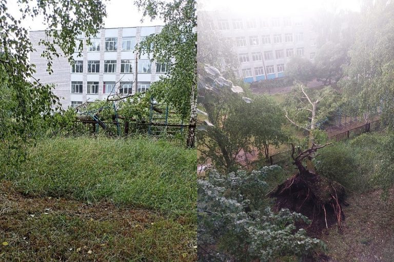 В Тверской области ураган завалил деревьями детский сад