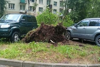 Гроза и град ударили только по одному микрорайону Твери