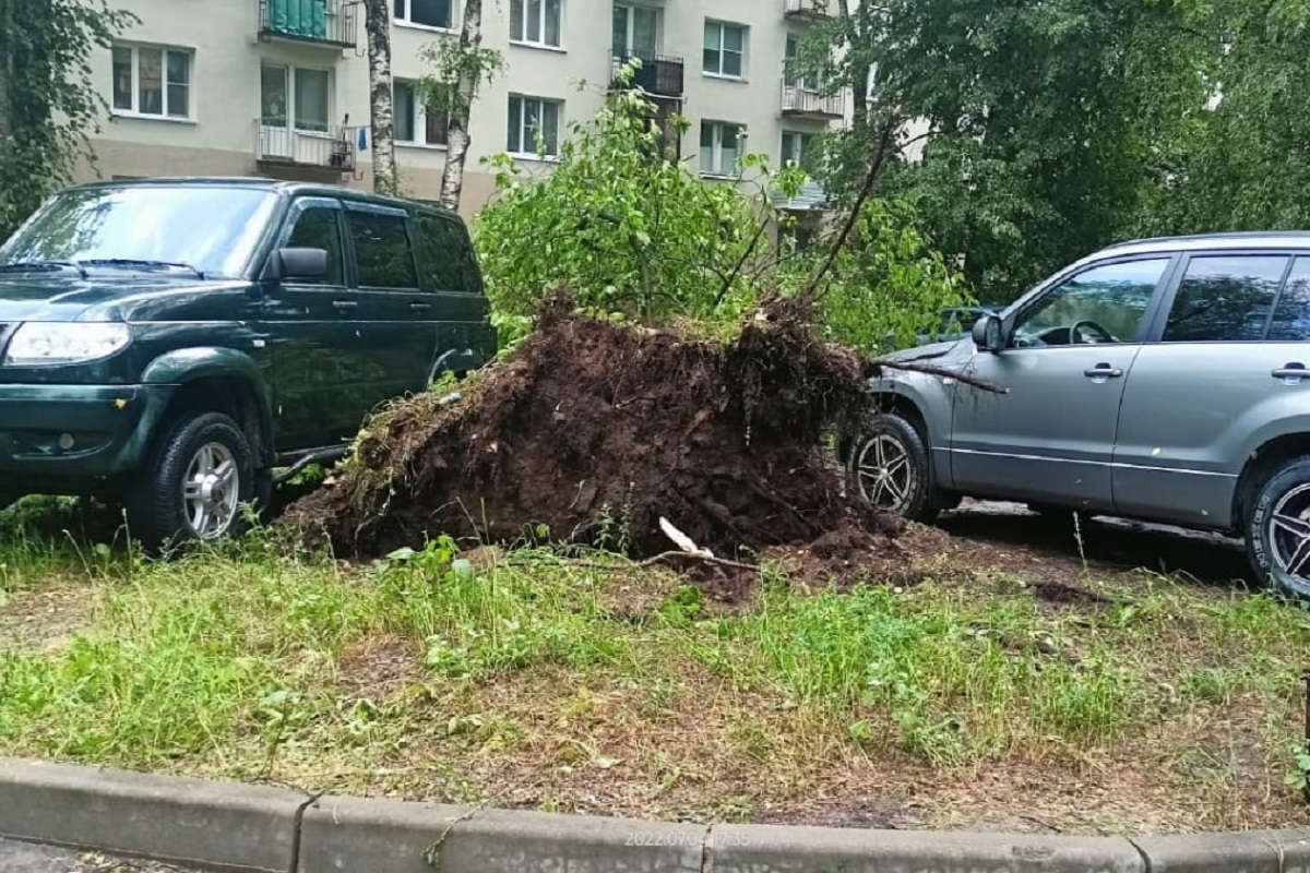 Гроза и град ударили только по одному микрорайону Твери