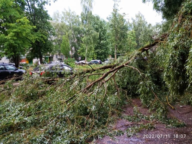 В Тверской области ураган завалил деревьями детский сад