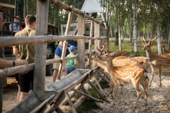 Один из главных центров экотуризма Верхневолжья отметил юбилей двухдневным масштабным фестивалем