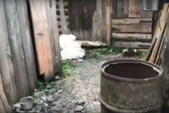 В Тверской области рецидивист убил пенсионерку и сжег ее тело в доме