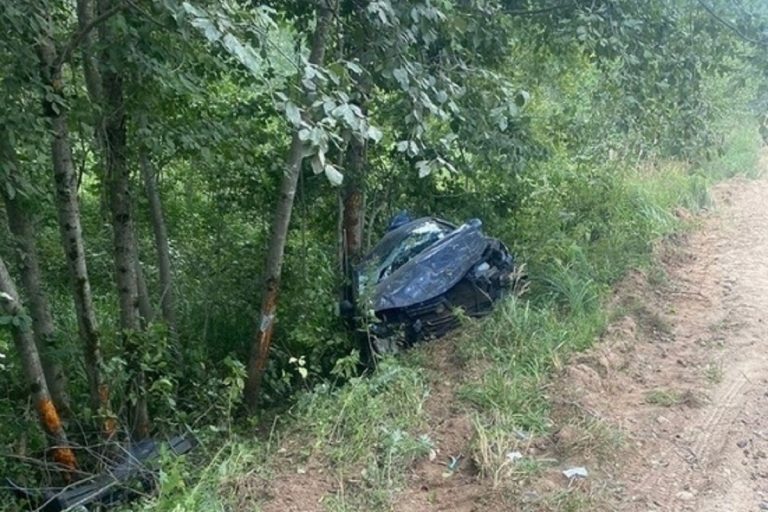 Легковушка под управлением женщины-водителя вылетела в кювет в Тверской области Легковушка под управлением женщины-водителя вылетела в кювет в Тверской области