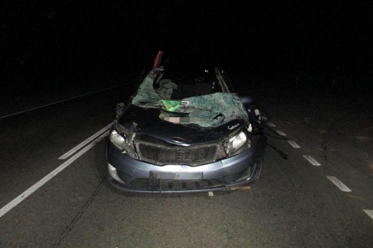 Один человек погиб и четверо пострадали в ДТП на автодороге "Тверь - Ржев"