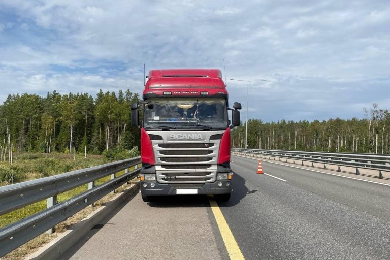В Тверской области сбили водителя, менявшего колесо автомобиля В Тверской области сбили водителя, менявшего колесо автомобиля