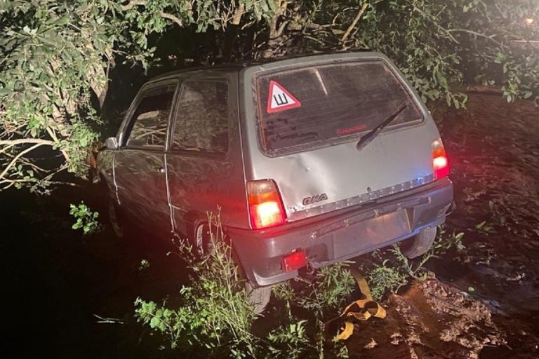 Нетрезвый водитель "Оки" врезался в дерево в Тверской области