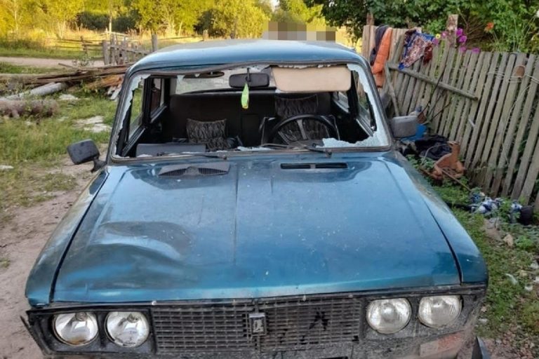 Водитель скрылся, сбив насмерть пешехода в Тверской области