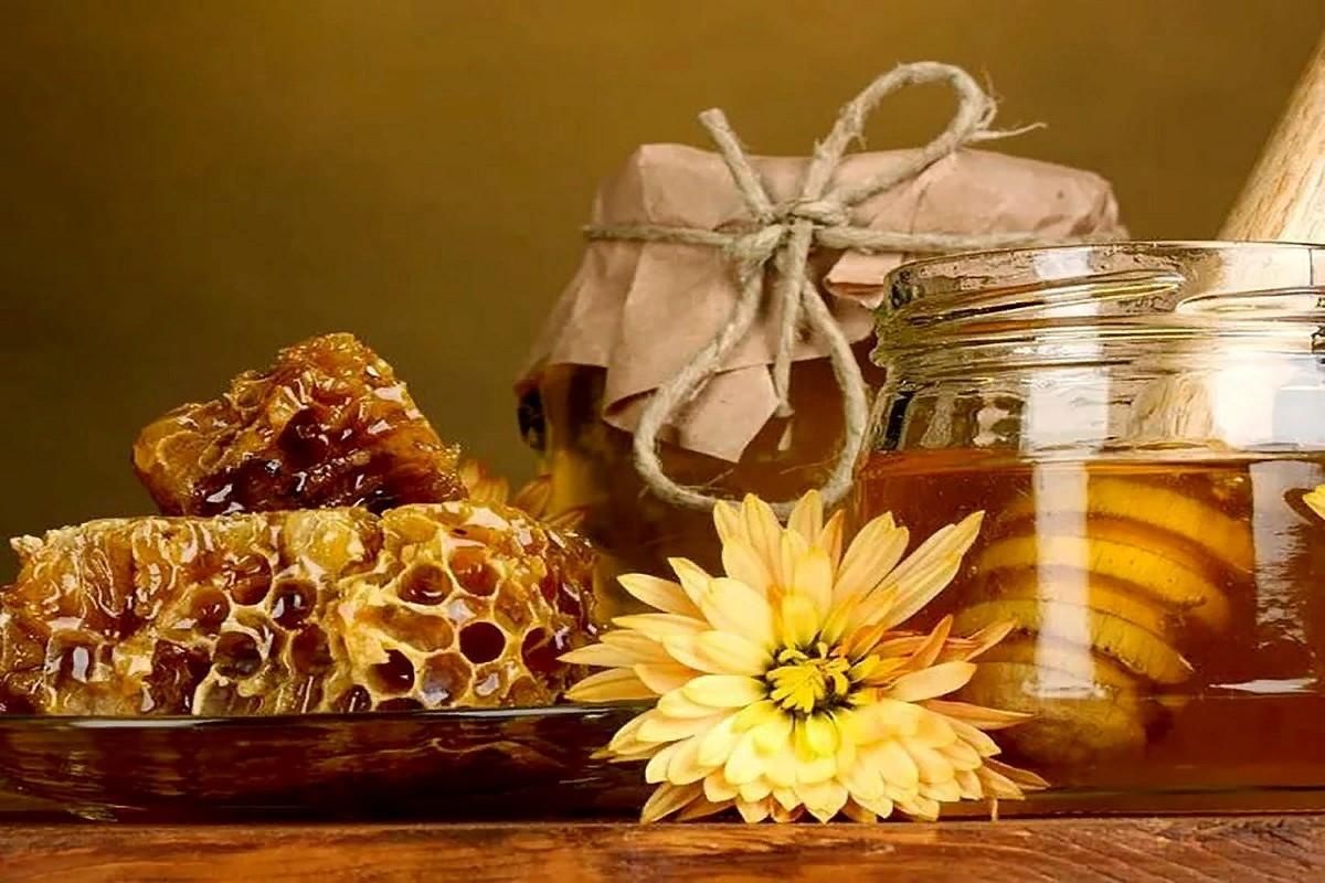 В Твери пройдет выставка-ярмарка мёда