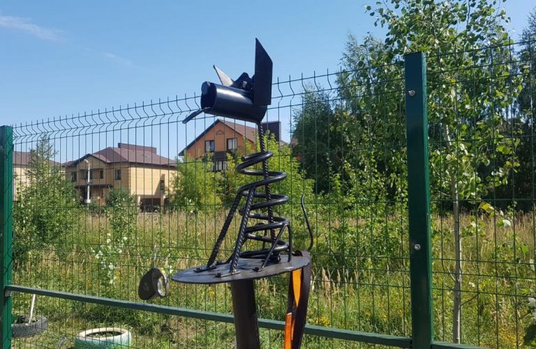 В Твери появилась первый муниципальный дог-парк