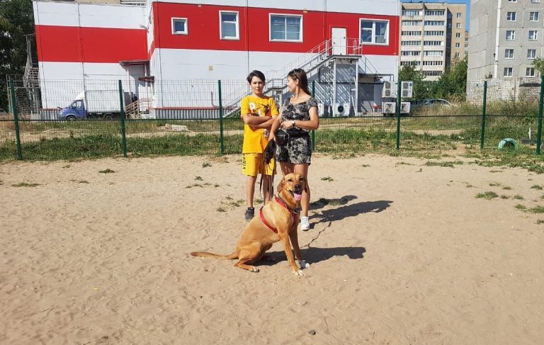 В Твери появилась первый муниципальный дог-парк