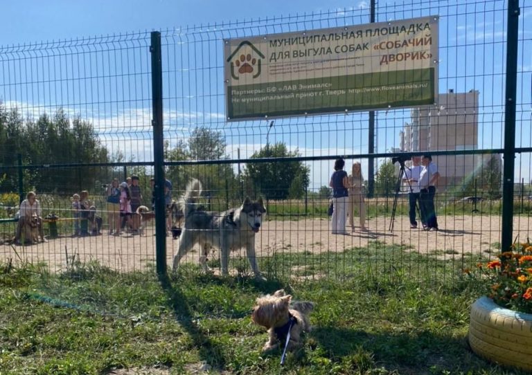 В Твери появилась первый муниципальный дог-парк