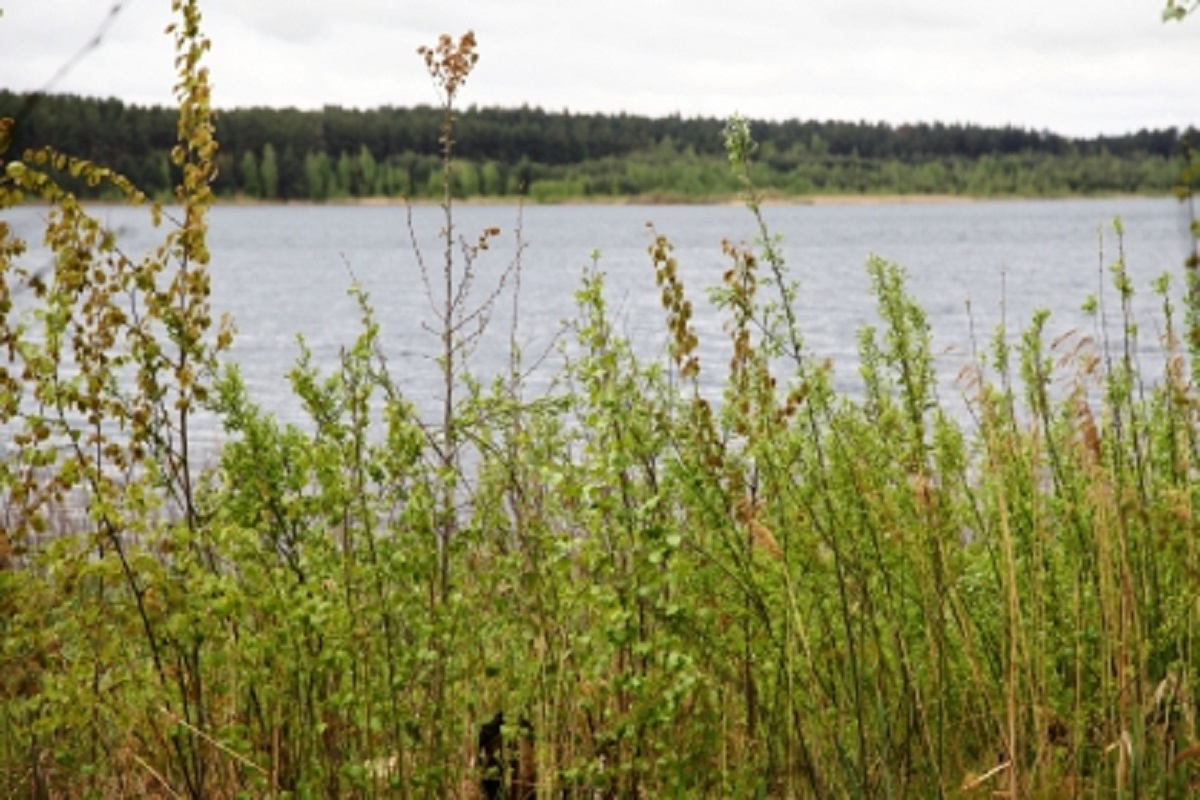 Молодой мужчина утонул в Иваньковском водохранилище в Тверской области