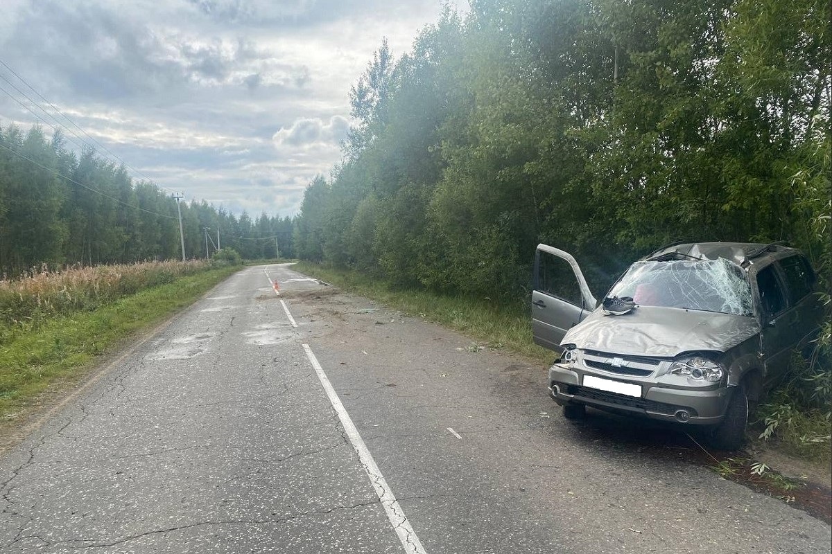 Водитель перевернувшейся легковушки погиб в Тверской области