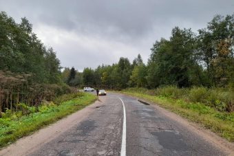 Водитель, сбивший насмерть пешехода, скрылся в Тверской области
