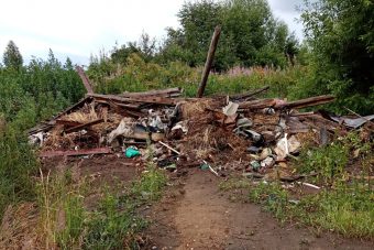 В Тверской области зарастают более 220 гектаров земли сельхозназначения
