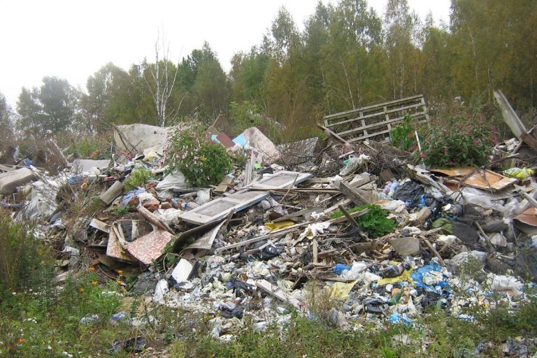 Сельхозугодья завалили мусором в Тверской области