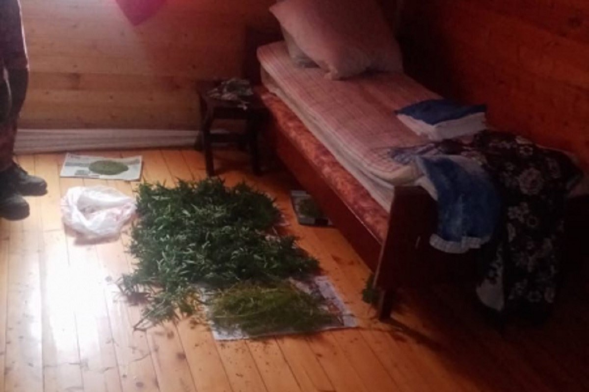 Житель Тверской области хранил на даче марихуану