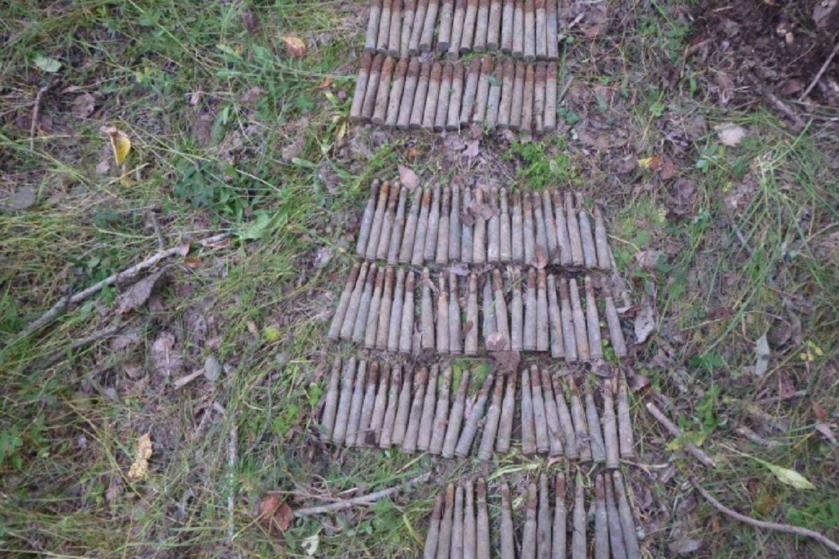 В Тверской области обнаружены артиллерийские патроны времен ВОВ