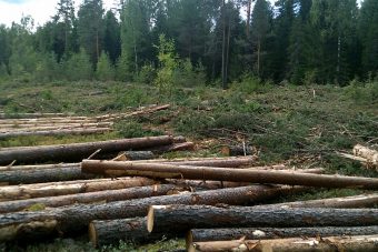 В Тверской области устроили свалку на землях сельхозназначения