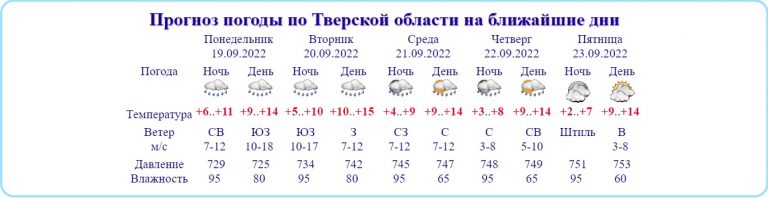 В Тверской области объявлен желтый уровень погодной опасности