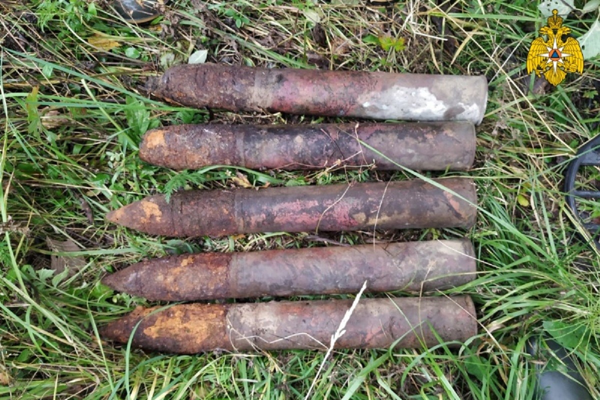 В Тверской области обнаружили около 60 боеприпасов