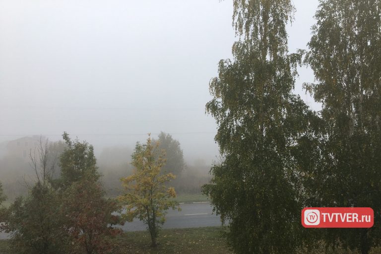 Окутавший Тверскую область густой туман создал опасную ситуацию на дорогах