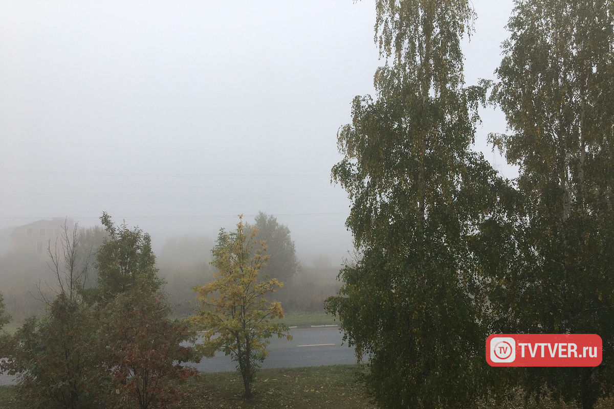 Туман ожидается в Тверской области
