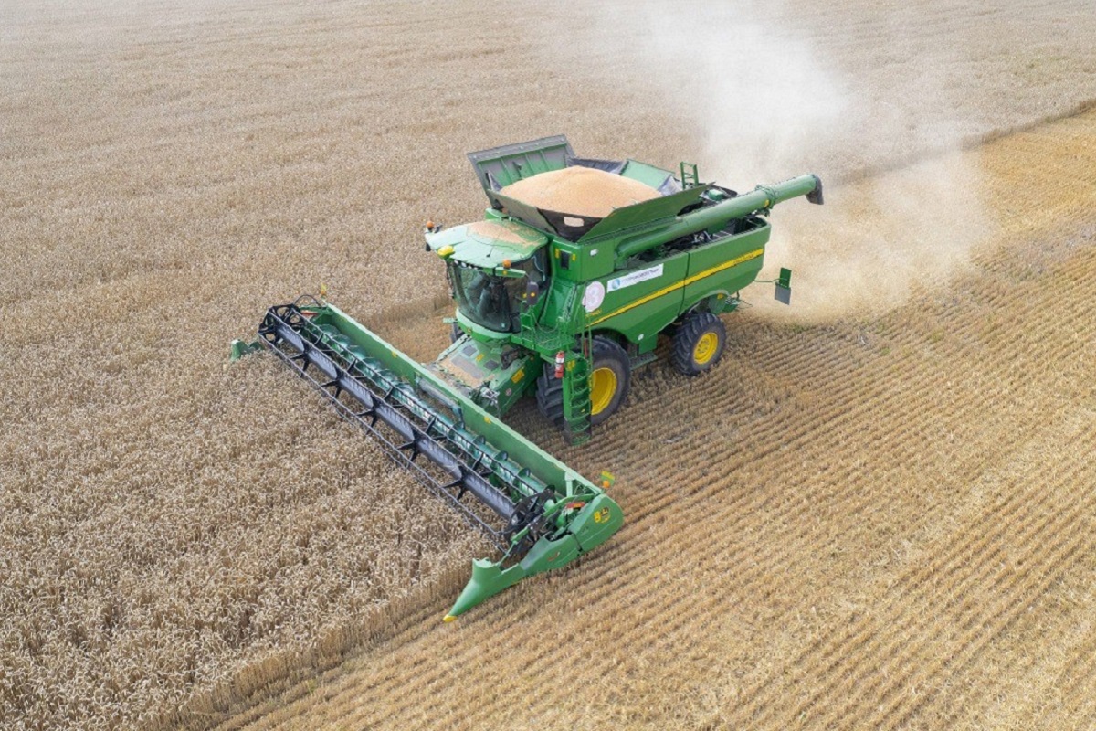 Тверская область собрала рекордный за 15 лет урожай озимой пшеницы