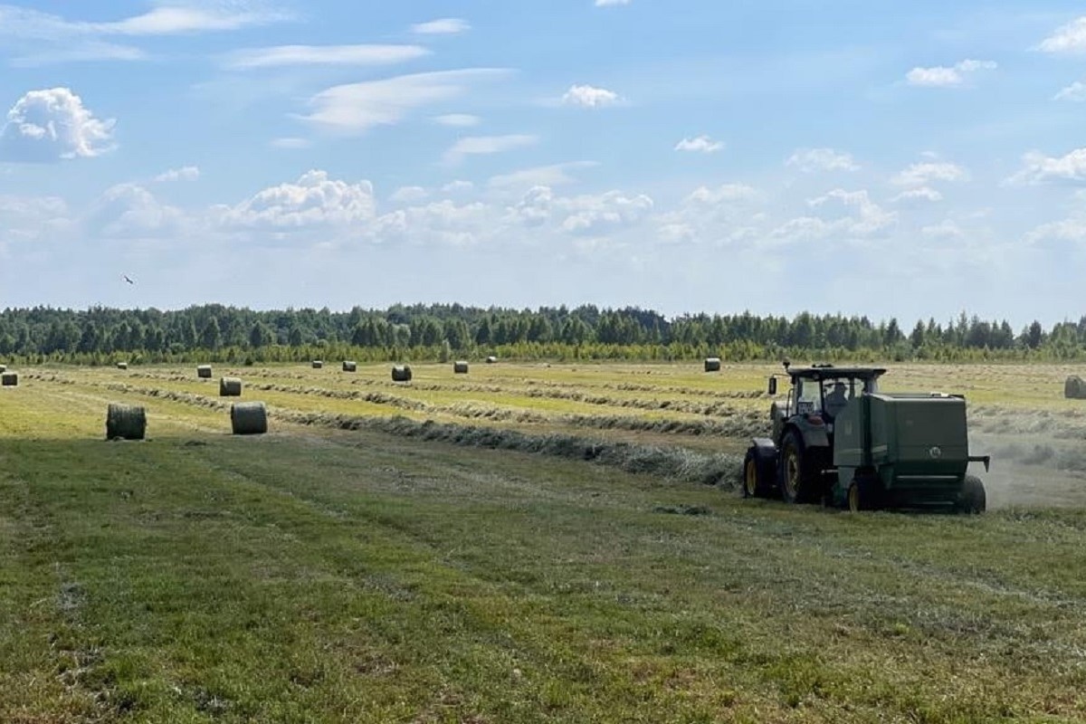 В Тверской области завершается уборка озимых зерновых
