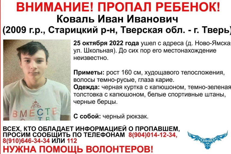 Возбуждено уголовное дело по факту исчезновения 13-летнего подростка из Тверской области