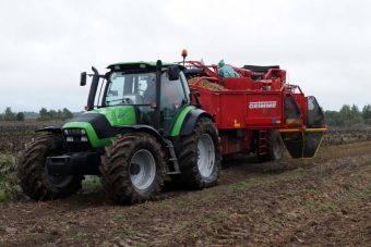В Тверской области увеличилась урожайность овощей