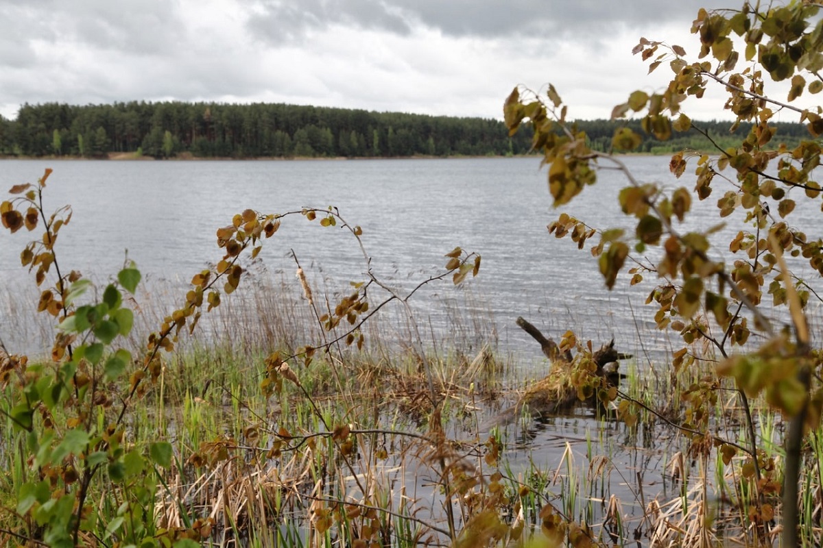 Стали известны обстоятельства гибели мужчины, утонувшего в Тверской области