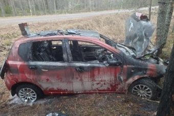 Легковушка врезалась в дерево и загорелась в Тверской области