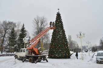В Твери начинают устанавливать новогодние ели