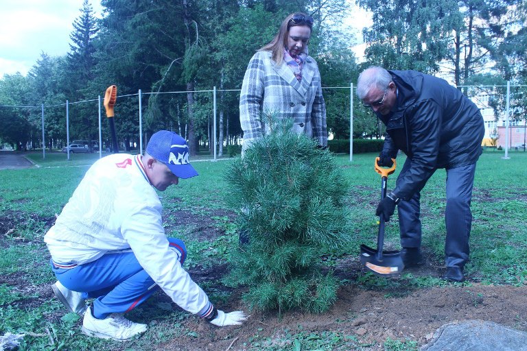 «Сохраним лес»: в Тверской области высадили около 128 тысяч саженцев деревьев и кустарников
