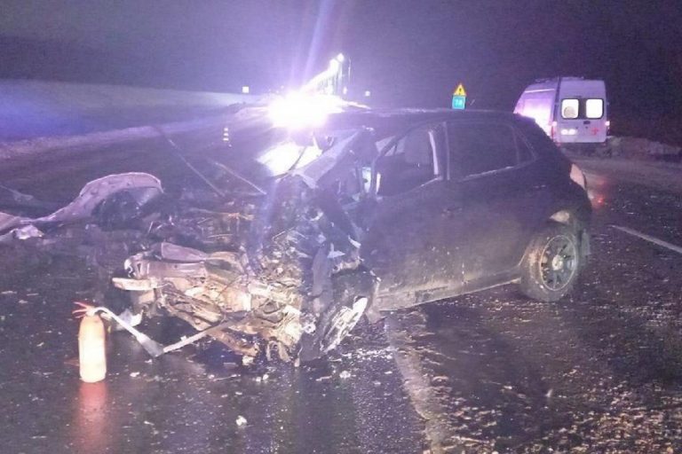 Несколько человек пострадали в лобовом ДТП на М-10 в Тверской области