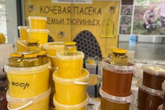 Тамбовские пчеловоды Тюрины приглашают на ярмарку мёда