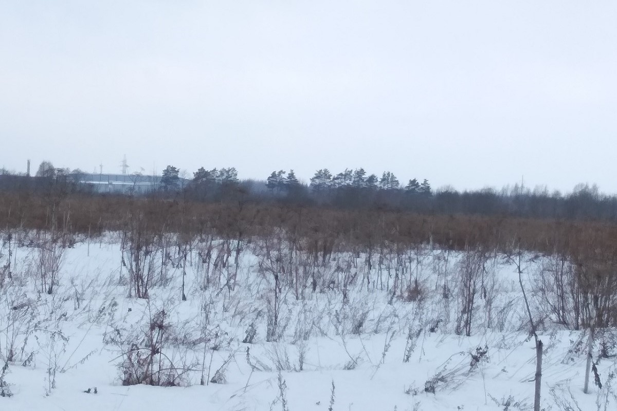 В Тверской области выявлены заросшие сельхозугодья