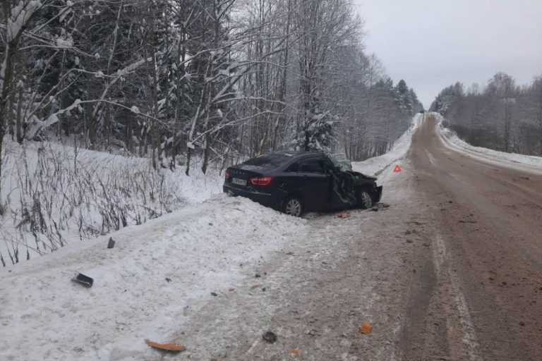 Под Вышним Волочком  женщина за рулем легковушки врезалась в лесовоз