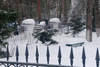 В Тверской области на братском захоронении под Новый год спилили голубые ели
