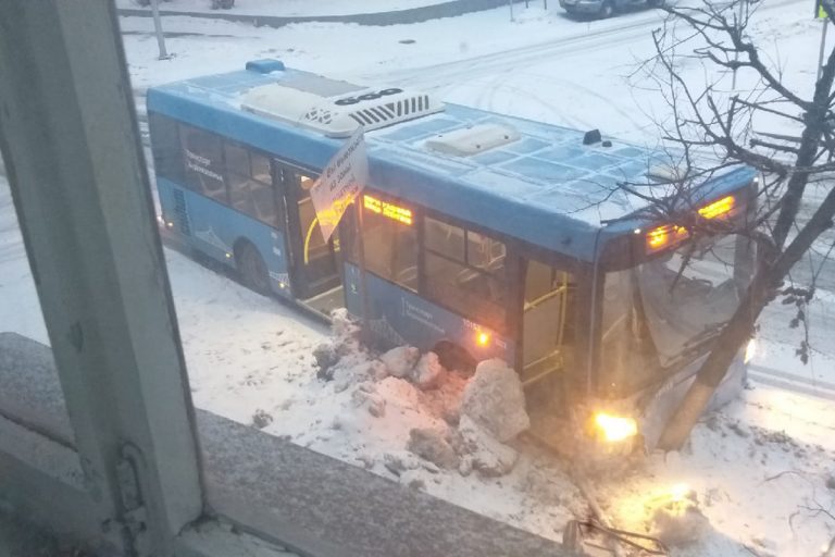 Автобус врезался в дерево в центре Твери
