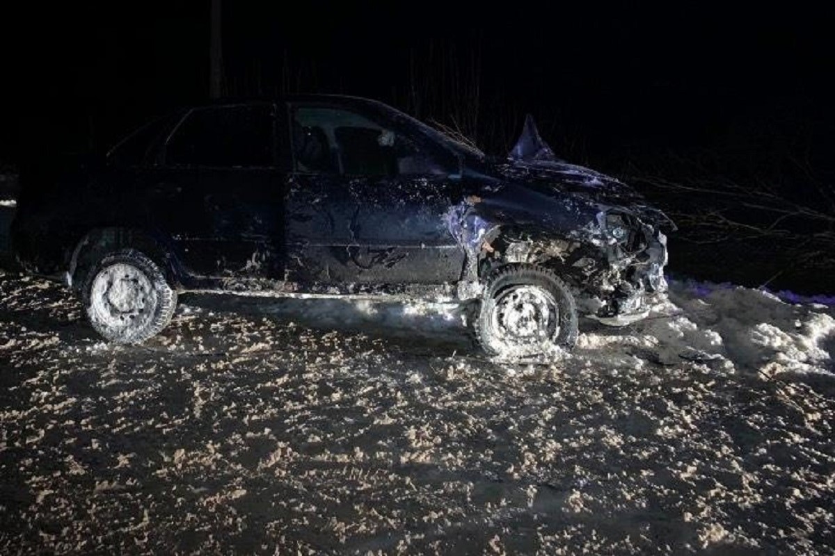 Уснувший водитель врезался в дерево в Тверской области