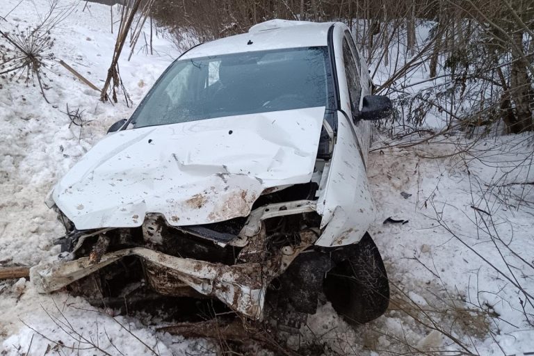 Легковушка вылетела в кювет в Тверской области