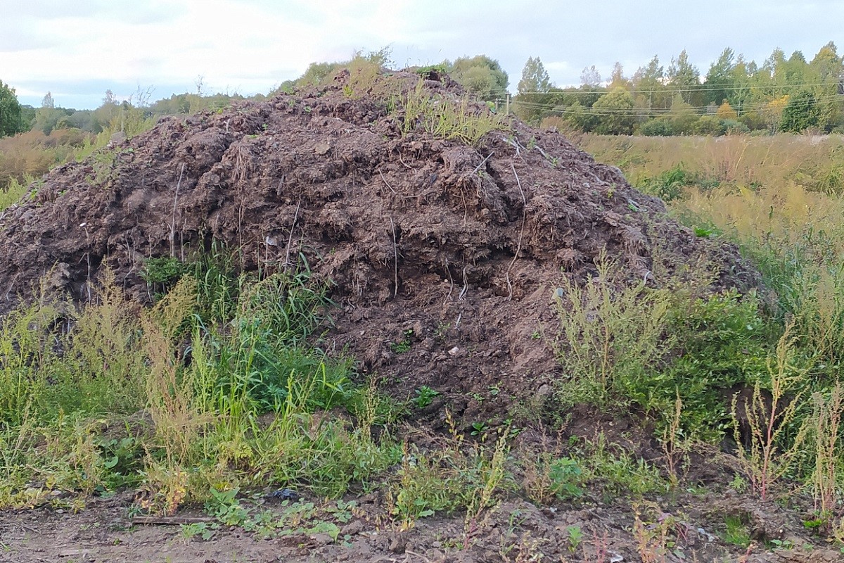 Отходами животноводства загрязняли почву в Тверской области