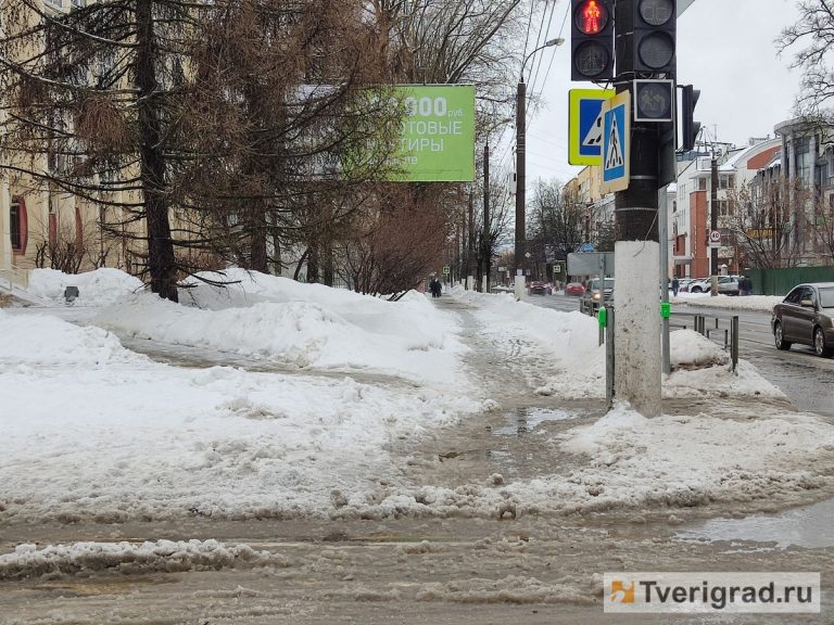 В Тверской области за сутки выпало порядка половины от месячной нормы осадков