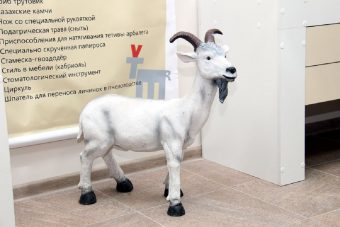 УФАС признало "Тверского козла" непохожим на «Велкопоповицкого Козела»