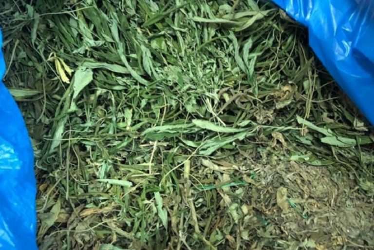 Торговца марихуаной задержали в Тверской области