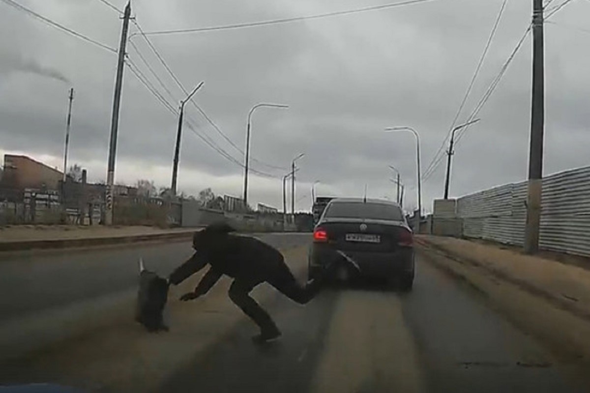 Горбатый мост едва не исправил пешехода-нарушителя в Твери (видео)