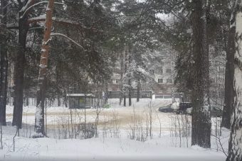 "Тут у меня нет вариантов": в ЦРБ Тверской области не оказали помощь пациенту
