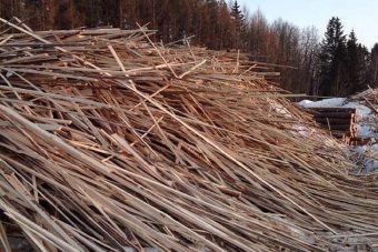Крупную свалку горбыля обнаружили в Тверской области